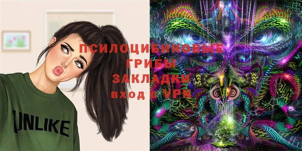 амф Арсеньев