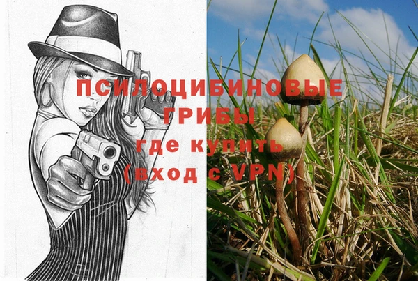амф Армянск