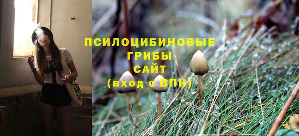 амф Арсеньев